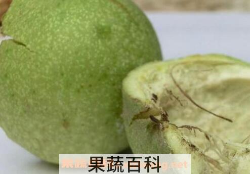 核桃皮的功效与作用与药用价值