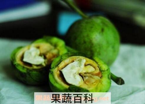核桃皮的功效与作用与药用价值