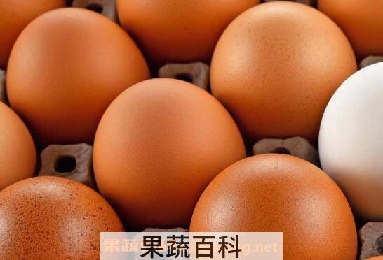 蛋怎么保存 保存蛋不变质的技巧教程