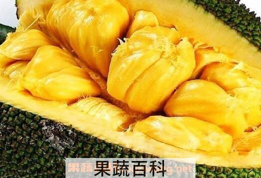 菠萝蜜怎么吃 吃菠萝蜜有什么禁忌