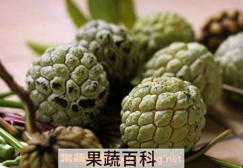释迦果怎么看熟没熟 释迦果怎么催熟