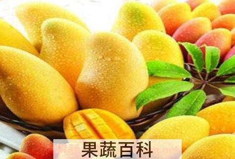 孕妇可以吃芒果吗 孕妇吃芒果的好处和坏处