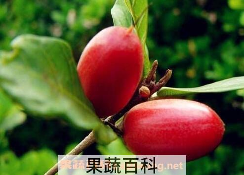 神秘果的功效与副作用
