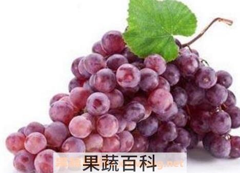 葡萄皮的功效与作用
