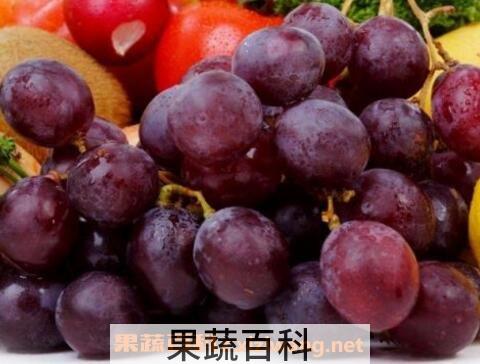 葡萄皮的功效与作用