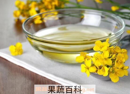 菜籽油的功效与作用 菜籽油怎么吃好