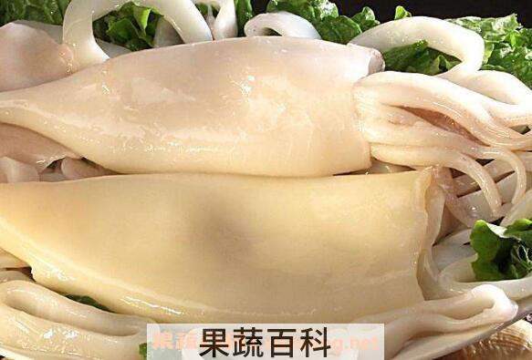 墨鱼的功效与作用 墨鱼的食用禁忌