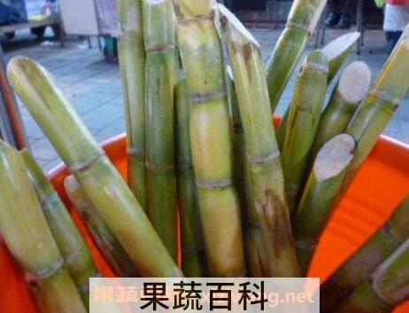 青皮甘蔗的功效与作用