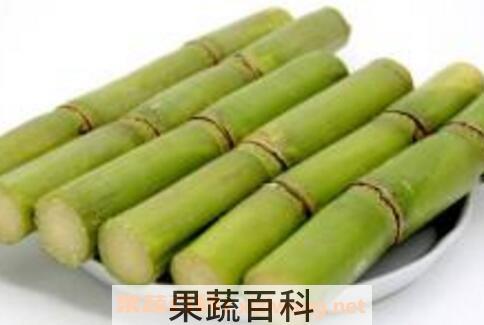 青皮甘蔗的功效与作用