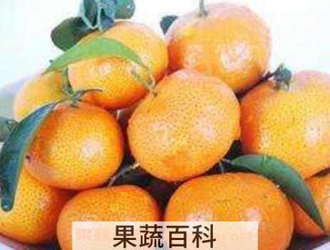吃橘子有什么好处