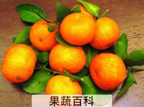 吃橘子有什么好处