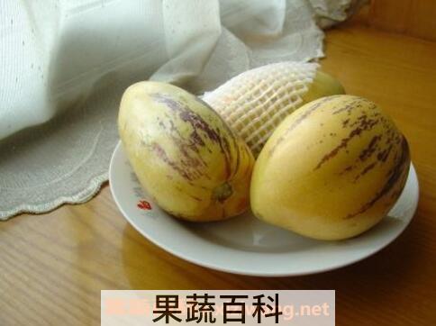 人参果怎么吃图解 吃人参果的禁忌