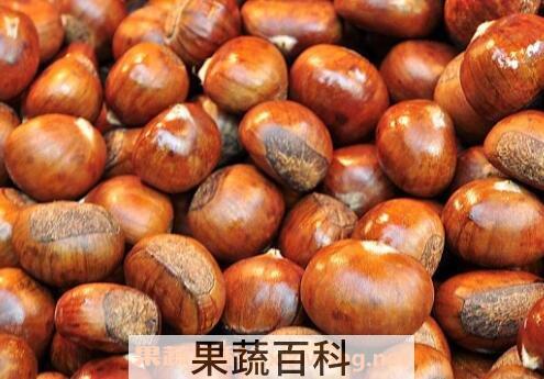板栗怎么保存不会坏