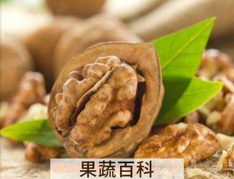 吃核桃的好处与功效