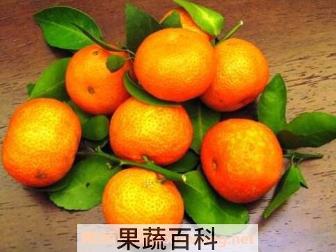 吃橘子上火吗 怎么吃橘子不上火