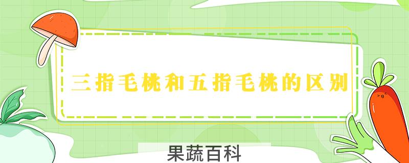 三指毛桃和五指毛桃的区别