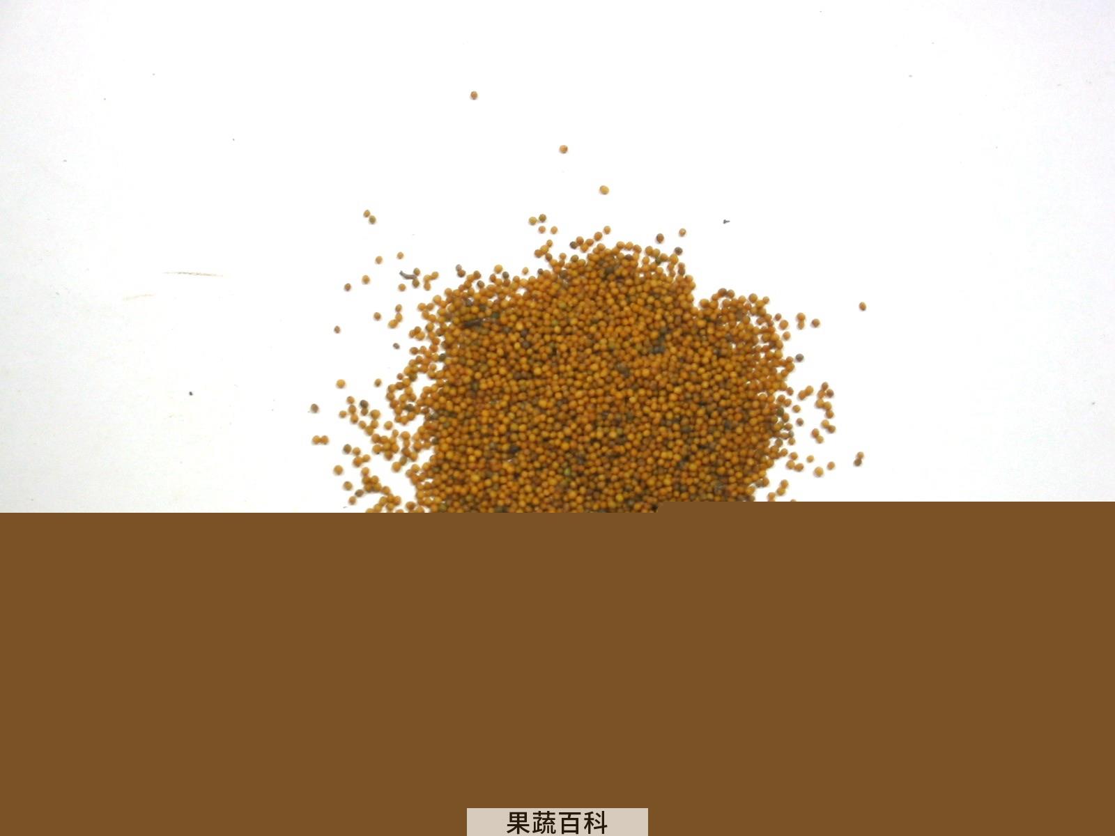 果蔬百科白芥子粥
