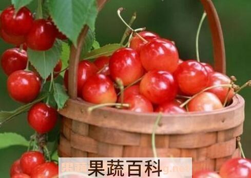 吃樱桃的好处和注意事项
