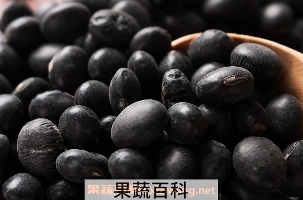 促排卵的食物有哪些 吃什么食物排卵多生双胞胎