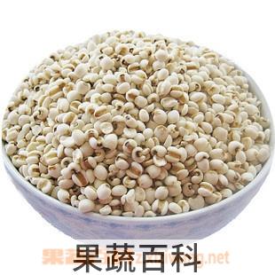 果蔬百科菱角紫草粥