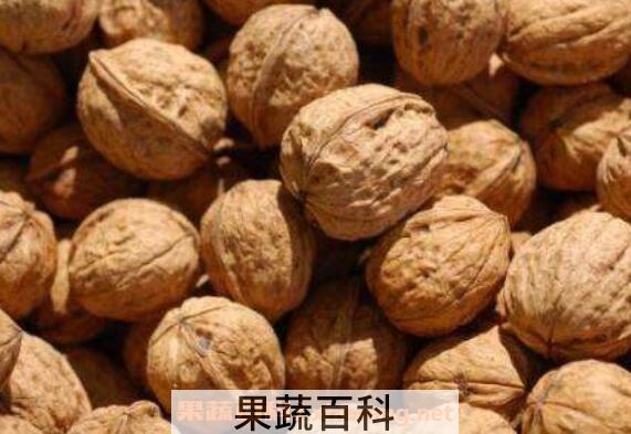增强记忆力的食物有哪些 记忆力不好吃什么食物好