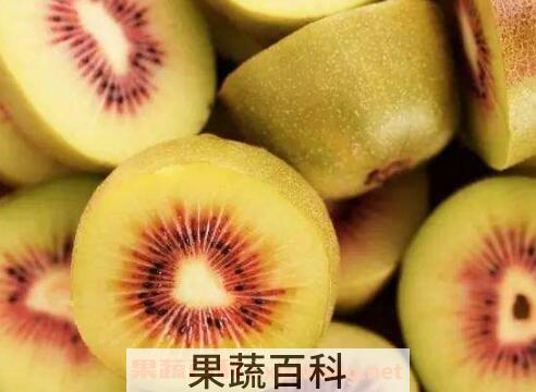 猕猴桃怎么吃才正确 猕猴桃的正确吃法