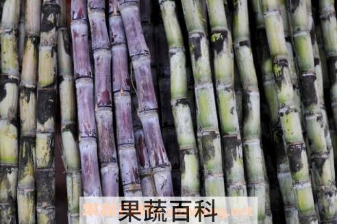 吃甘蔗的好处和坏处