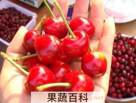 樱桃怎么保存 樱桃保鲜方法技巧