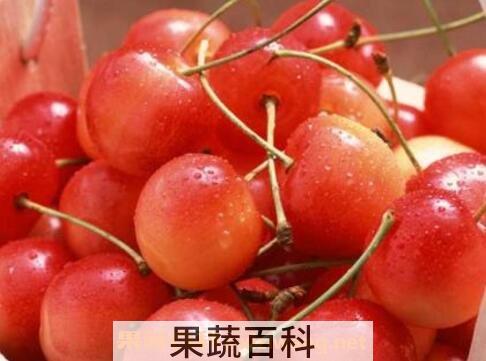 樱桃怎么保存 樱桃保鲜方法技巧