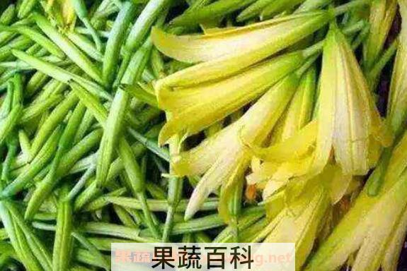 新鲜黄花菜有毒吗 新鲜黄花菜如何吃