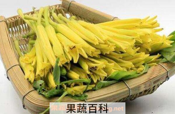 新鲜黄花菜有毒吗 新鲜黄花菜如何吃