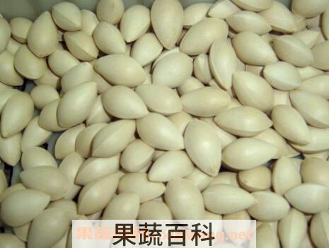银杏果怎么处理才能吃 银杏果怎么吃不中毒