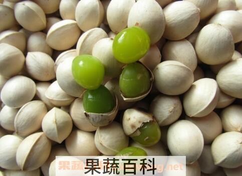 银杏果怎么处理才能吃 银杏果怎么吃不中毒