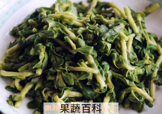 救心菜和养心菜的区别 救心菜的功效与作用
