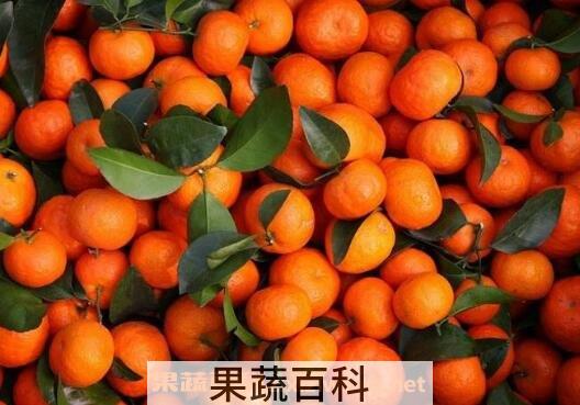 吃沙糖桔上火吗 沙糖桔怎么吃不上火