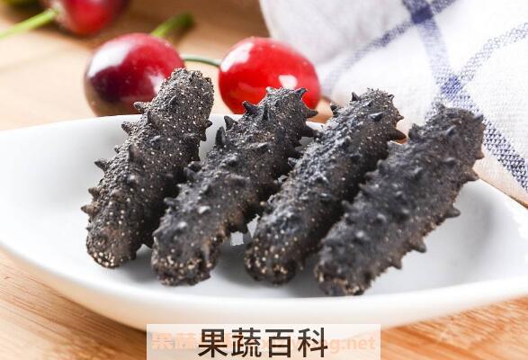 海参的功效与作用 吃海参的好处