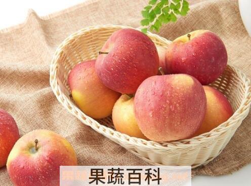 怎么保存苹果 苹果保存方法技巧
