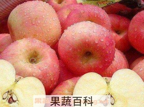 怎么保存苹果 苹果保存方法技巧