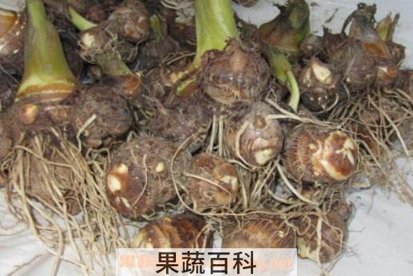 芋头为什么手痒 芋头手痒怎么处理
