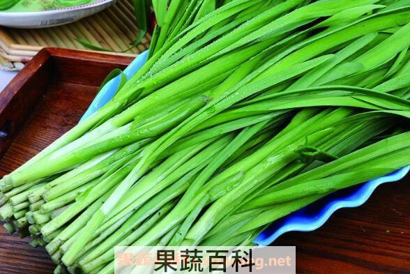 韭菜的功效与作用及禁忌