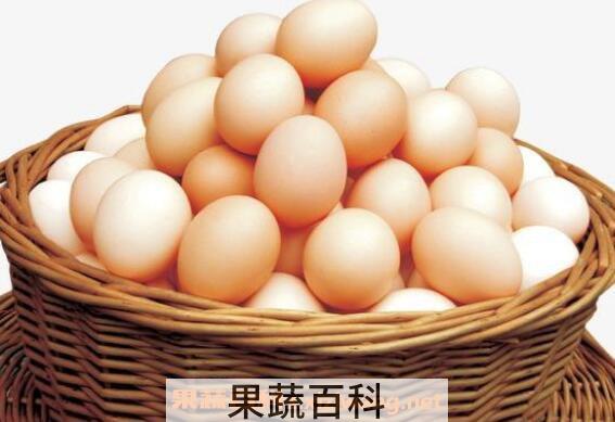 雌性激素食物有哪些 雌性激素高的食物排行