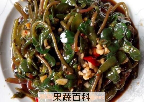 马齿苋怎么吃好 马齿苋的吃法