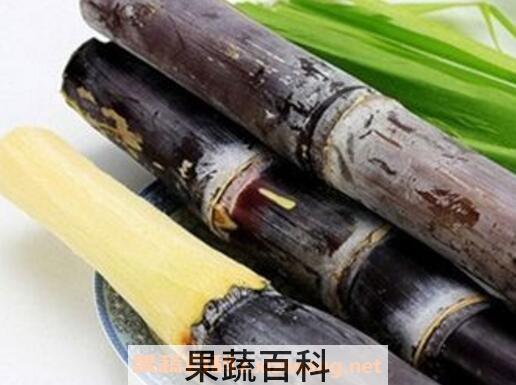 甘蔗为什么要烤一下 烤甘蔗的功效与作用
