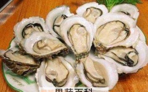 生蚝的功效与副作用 生蚝的好处和功效与作用