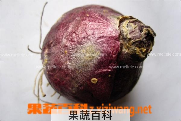 果蔬百科