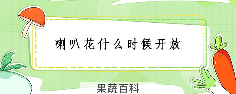 喇叭花什么时候开放