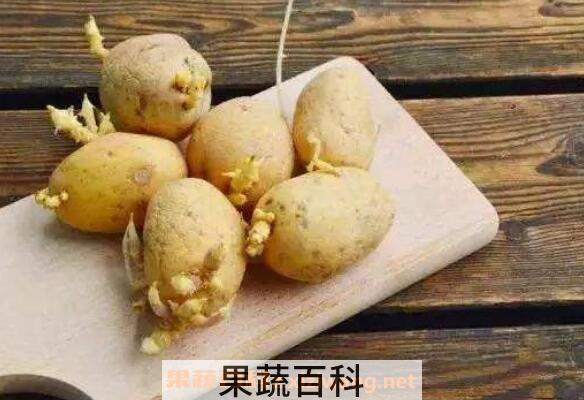 发芽的土豆能吃吗 吃了发芽的土豆怎么办