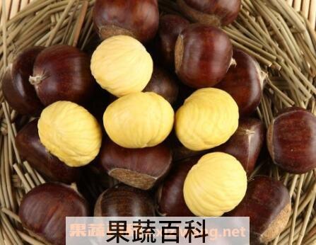 生板栗用冰箱如何保存 生板栗的保存方法