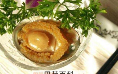 鲍鱼的营养价值及功效与作用海参 鲍鱼的营养价值及功效与作用禁忌