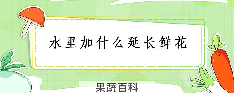 水里加什么延长鲜花